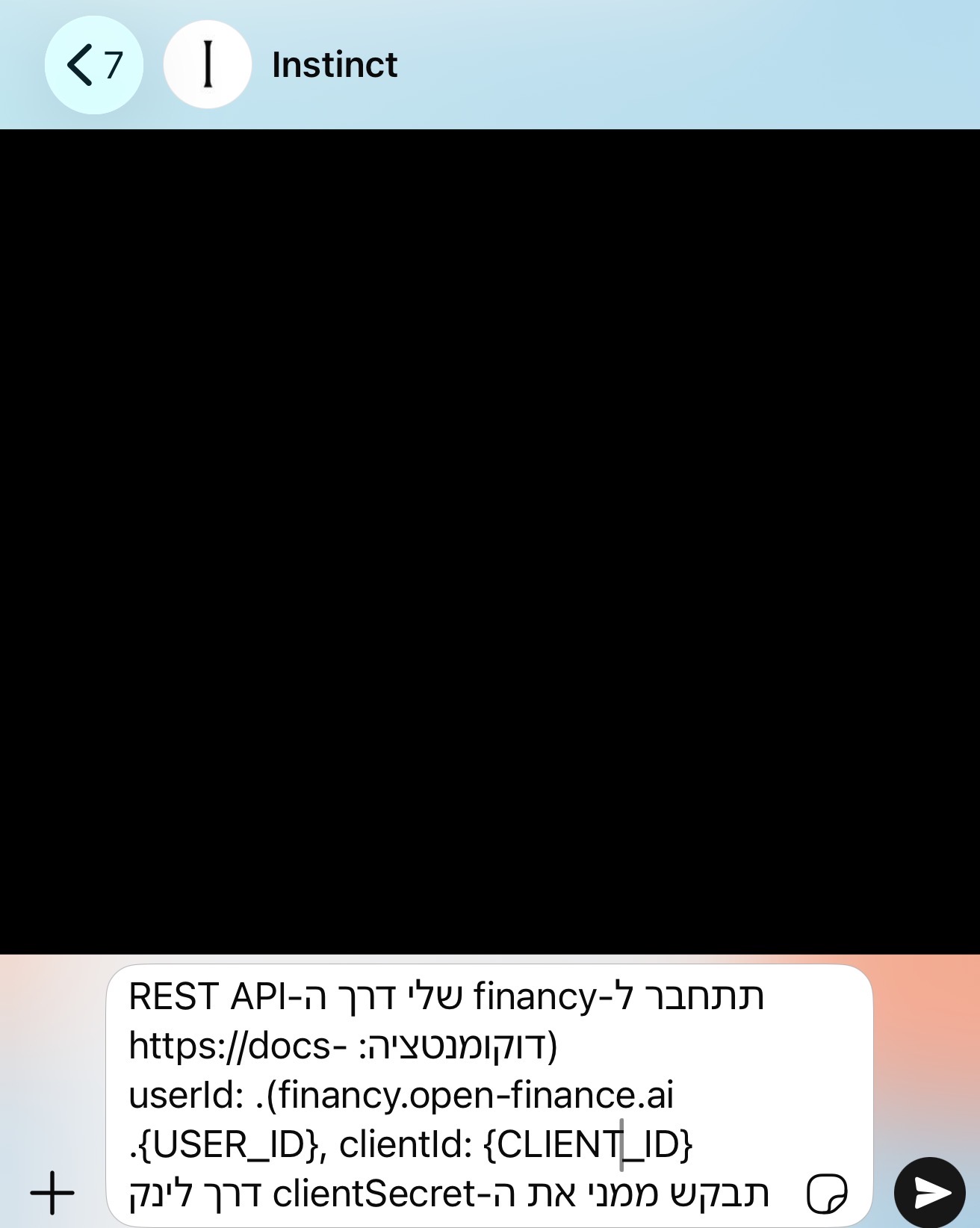 compact טיוטת בקשת החיבור ל-Financy בשיחת WhatsApp עם Instinct, עם מצייני מקום במקום ערכים