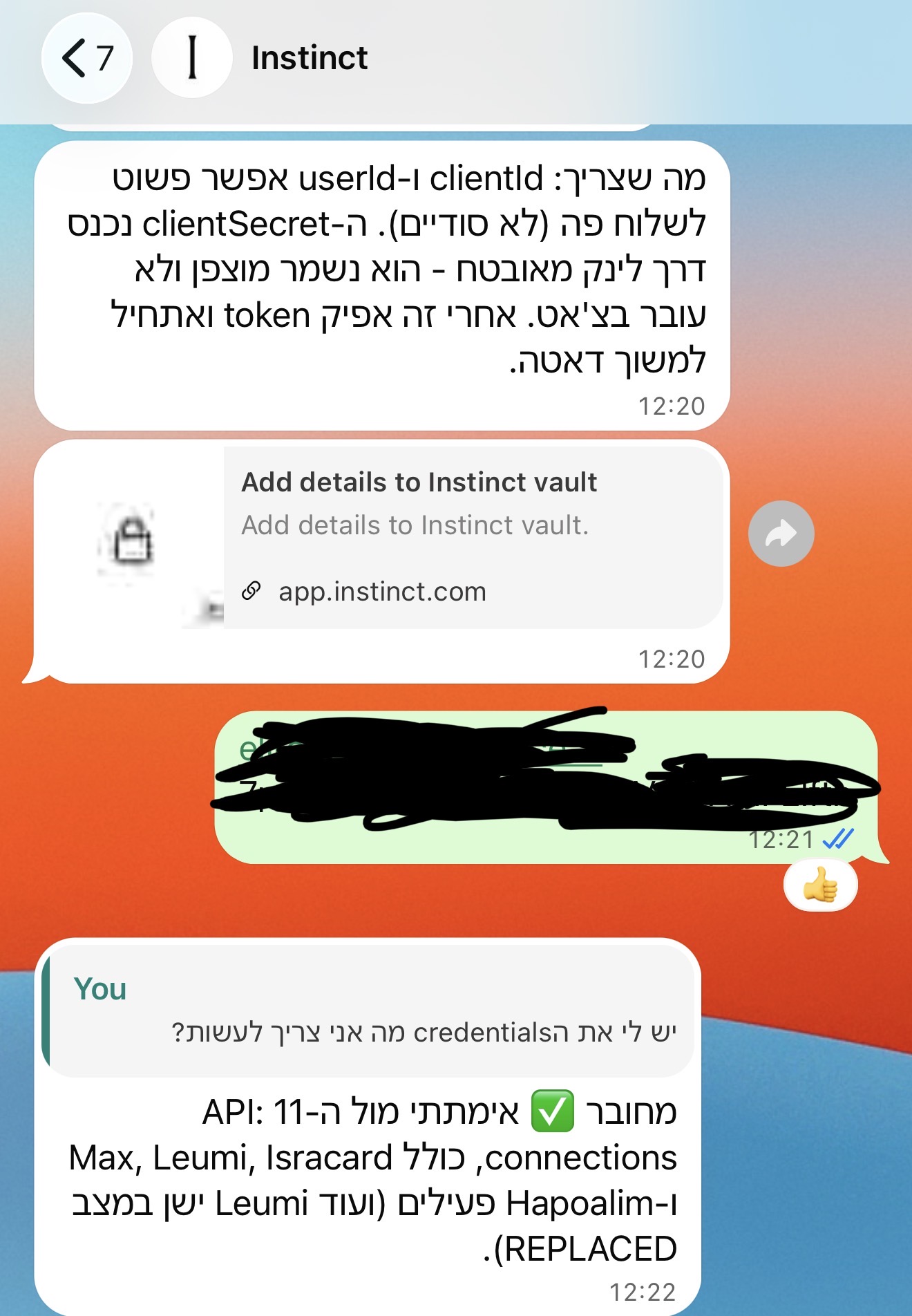 compact Instinct מציע קישור ל-Vault ולאחר מכן מדווח שהתחבר ל-API; פרטים הושחרו בצילום המקורי